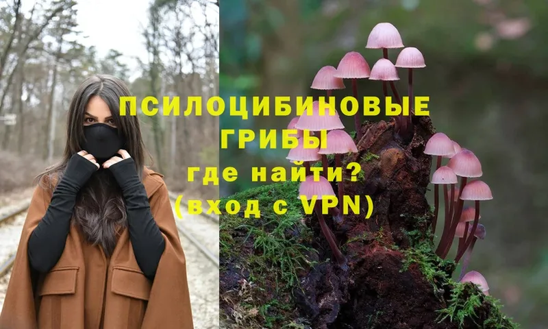 Псилоцибиновые грибы MAGIC MUSHROOMS  купить закладку  Кыштым 